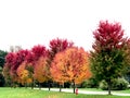 UW Green Bay in fall